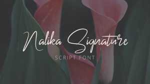 Nalika Signature Script Font › Fontesk