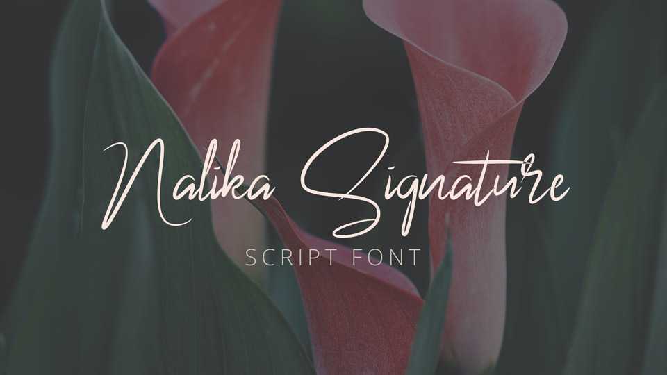 Nalika Signature Script Font › Fontesk
