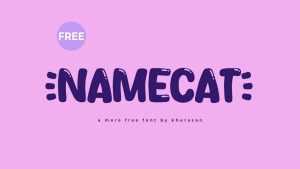 Namecat Font › Fontesk