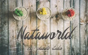 Nataworld Handwritten Font