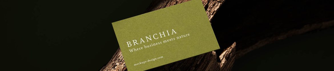 Natural business card mockup
