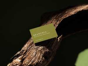 Natural business card mockup