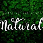 Natural Script Font