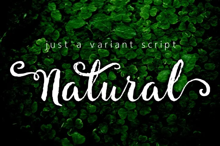 Natural Script Font