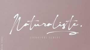 Naturaliste Script Font › Fontesk