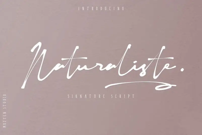 Naturaliste Script Font