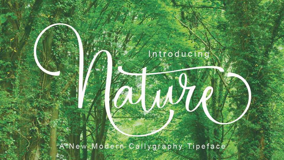 Nature Script Font › Fontesk