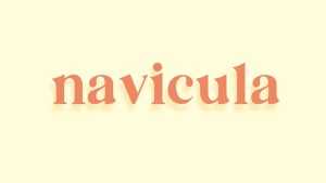 Navicula Font › Fontesk