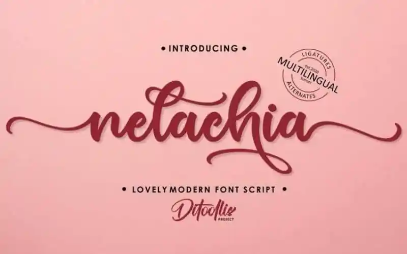 Nelachia Calligraphy Font