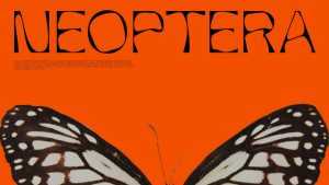 Neoptera Font › Fontesk