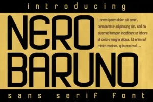 Nero Baruno Display Font