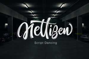 Nettizen Script Dancing Font