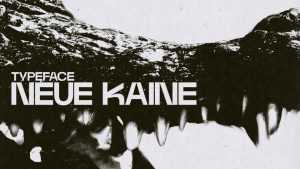 Neue Kaine Variable Font › Fontesk