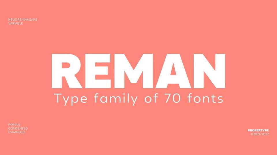 Neue Reman Sans Font › Fontesk