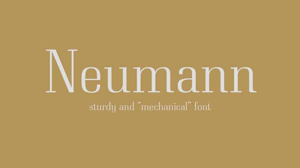 Neumann Font › Fontesk