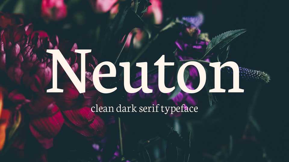 Neuton Font Family › Fontesk
