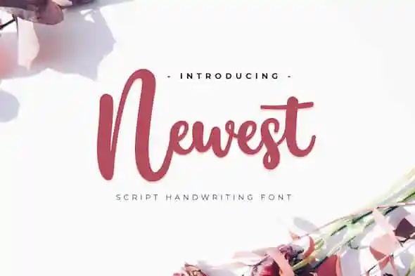 Newest Script Font