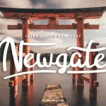 Newgate Script Font