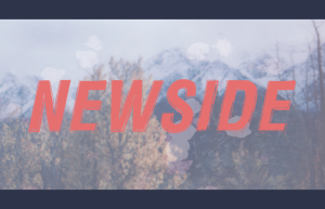 Newside FP font family