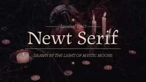 Newt Serif Font Family › Fontesk