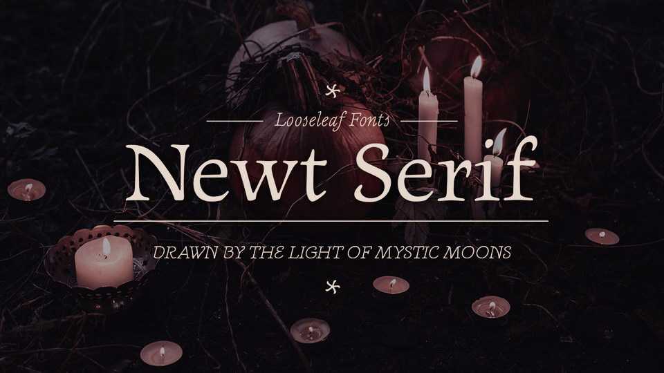 Newt Serif Font Family › Fontesk