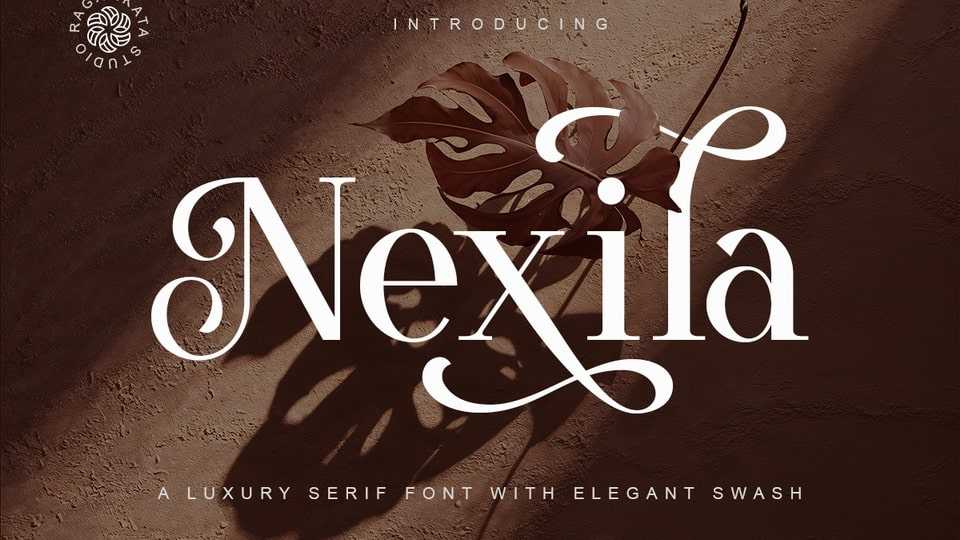 Nexila Font › Fontesk