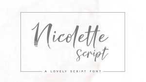 Nicolette Font › Fontesk