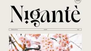 Nigante Font › Fontesk