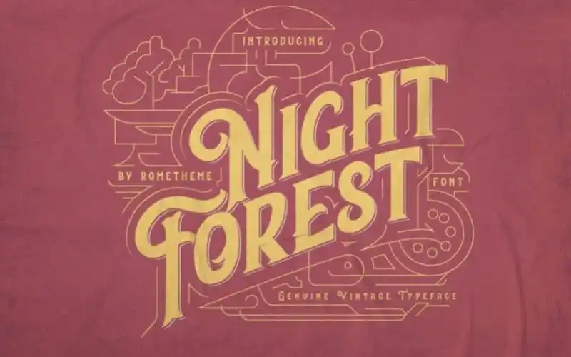 Night Forest Display Font