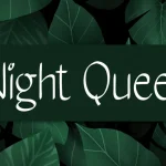Night Queen Handwritten Font