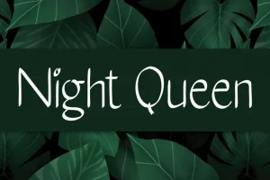 Night Queen Handwritten Font
