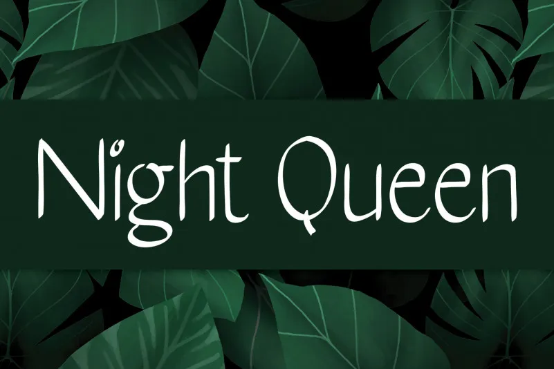 Night Queen Handwritten Font