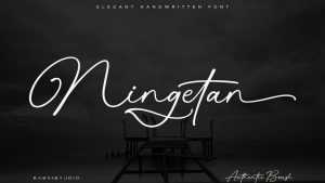 Ningetan Font › Fontesk
