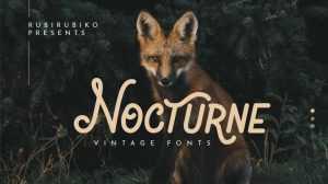 Nocturne Script › Fontesk