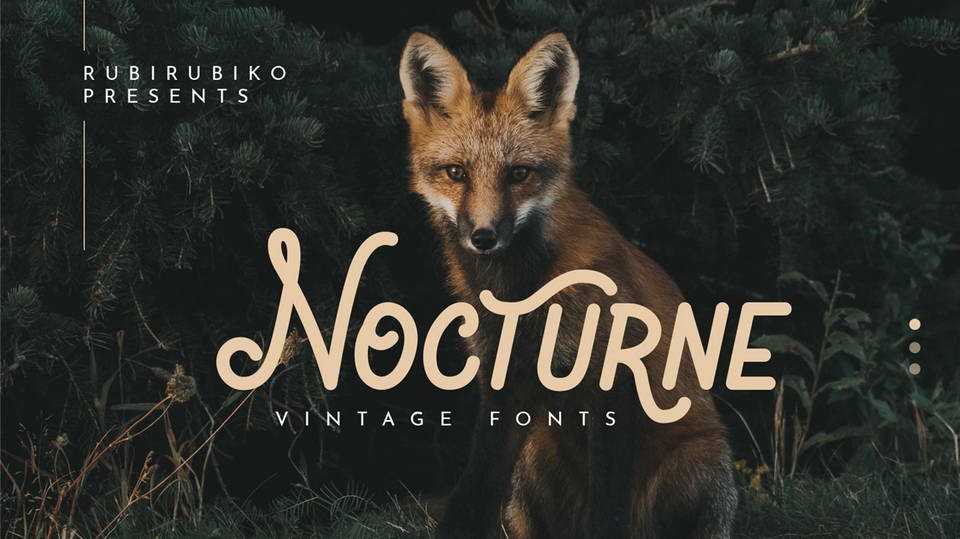 Nocturne Script › Fontesk