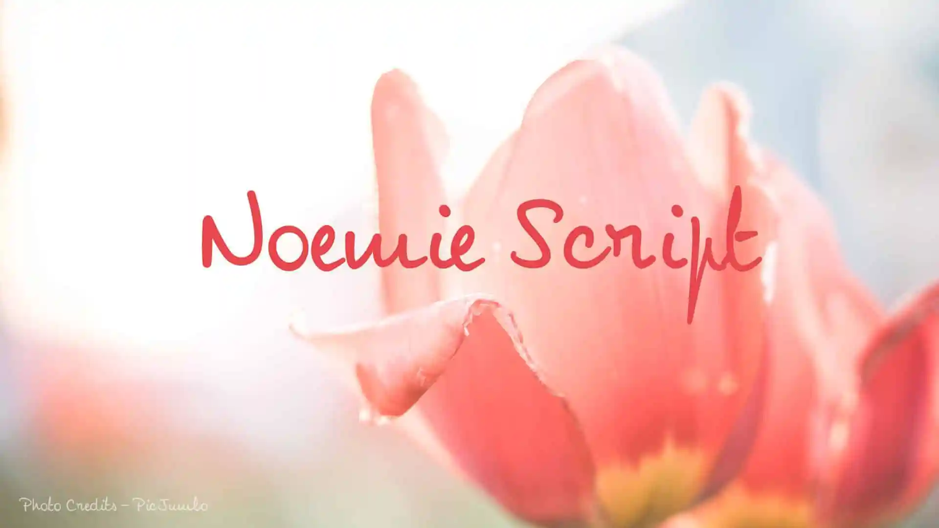 Noemie Script Font