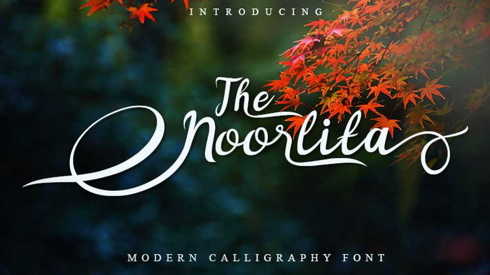 Noorlita Script Font › Fontesk