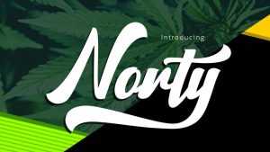 Norty Script Font › Fontesk