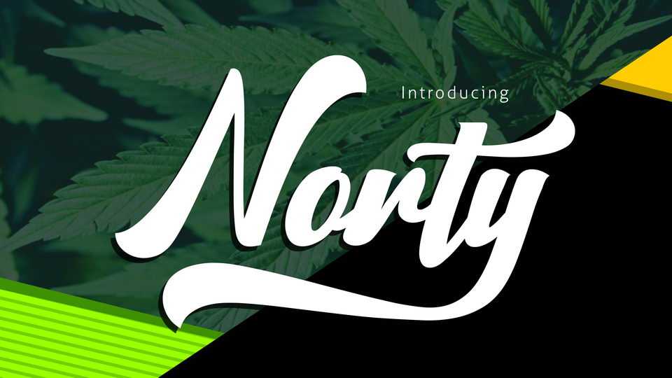 Norty Script Font › Fontesk