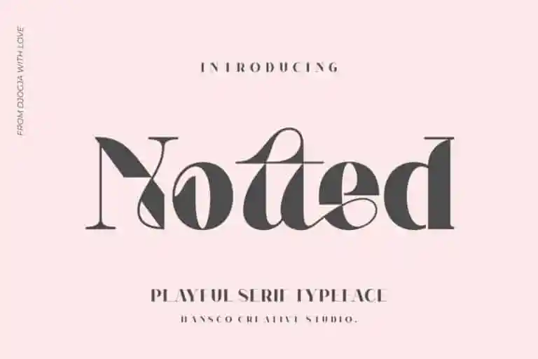 Notted Display Font