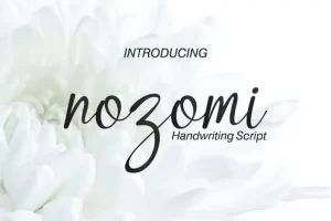 Nozomi Handwriting Script Font