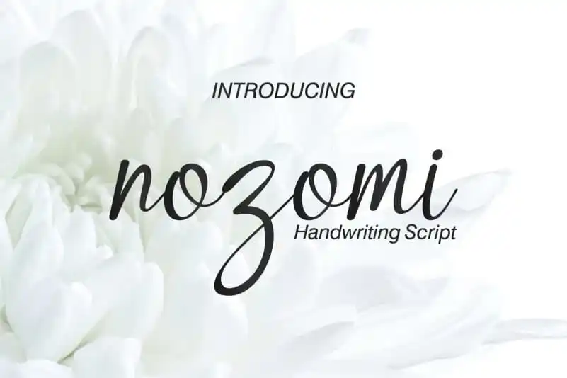 Nozomi Handwriting Script Font