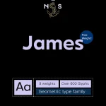 NS-James Font Family