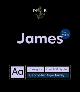 NS-James Font Family