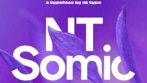 NT Somic Font Family › Fontesk
