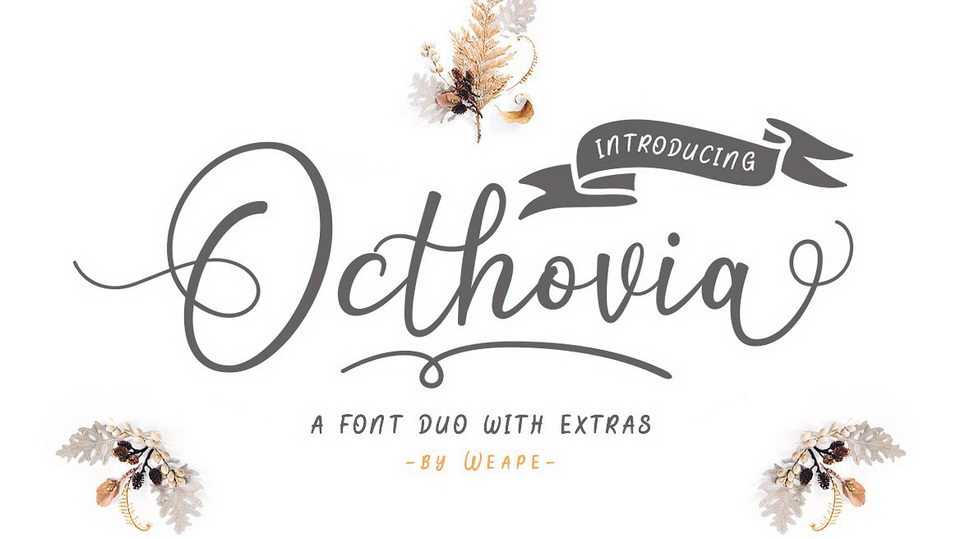 Octhovia Script Font › Fontesk