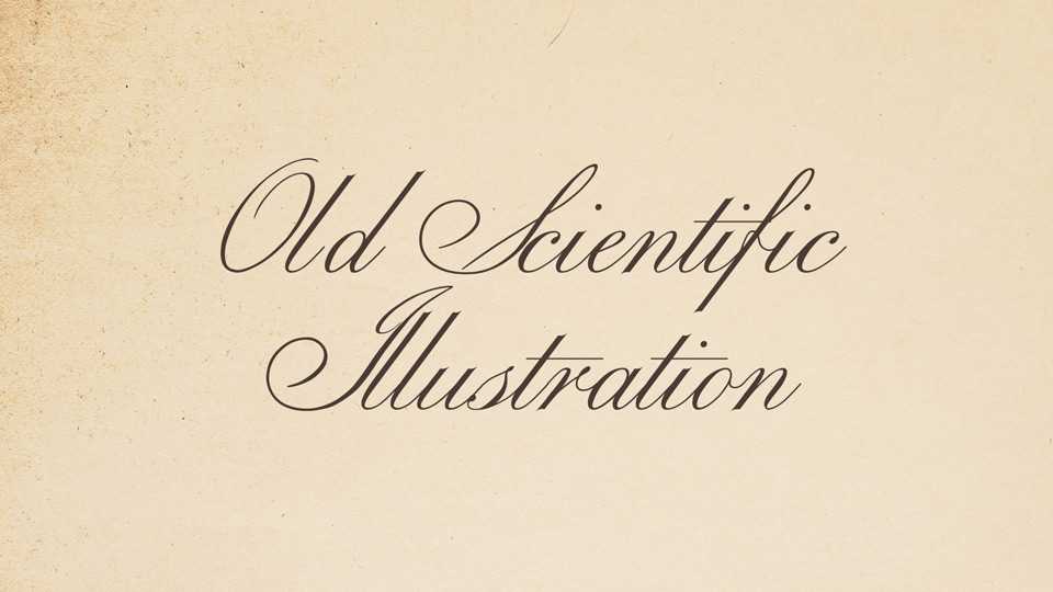 Old Scientific Illustration Font › Fontesk