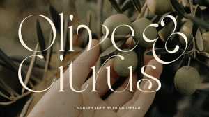Olive & Citrus Font › Fontesk
