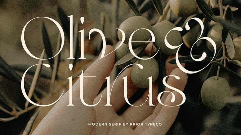 Olive & Citrus Font › Fontesk