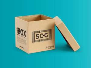 Open Box Mockup